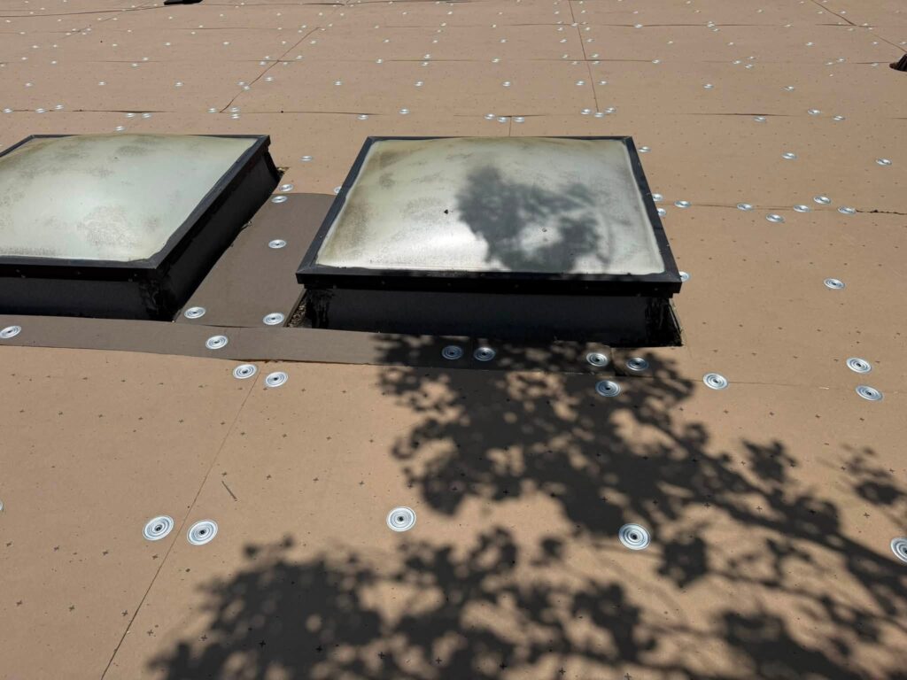 Commercial Flat Roof — Tree & Water Tower — photo 7