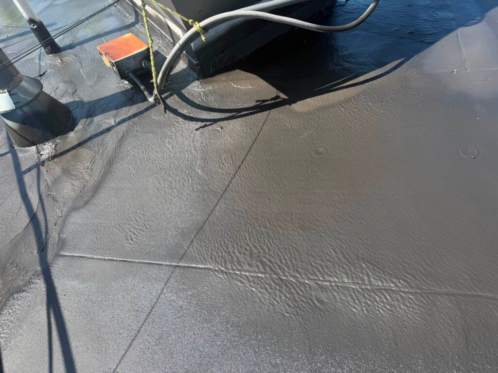 Commercial Flat Roof — Tree & Water Tower — photo 12