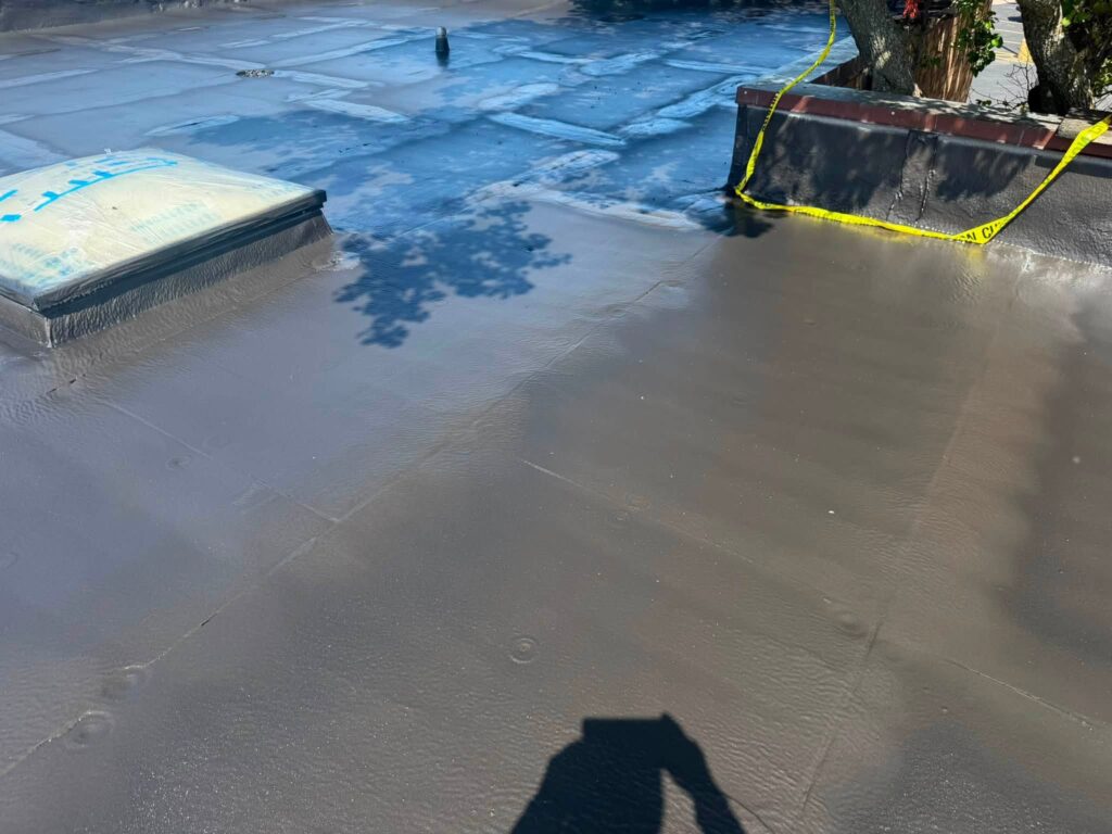 Commercial Flat Roof — Tree & Water Tower — photo 14