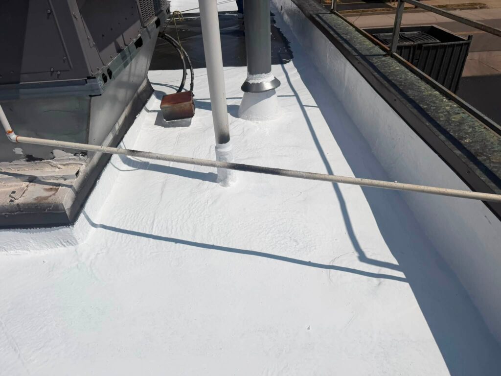 Commercial Flat Roof — Tree & Water Tower — photo 29